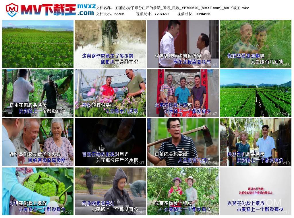 王丽达-为了那份庄严的承诺_国语_民族_YE700620